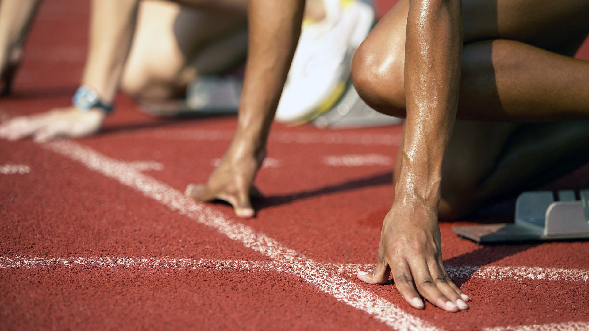 运动员心理辅导服务体系,运动员心理辅导服务体系有哪些