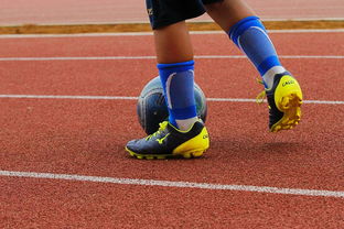 mk体育平台官网-专注体育场馆建设新闻内容传播的平台，专业体育场馆